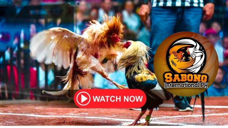 500jl casino login what is the safest bet in a casino